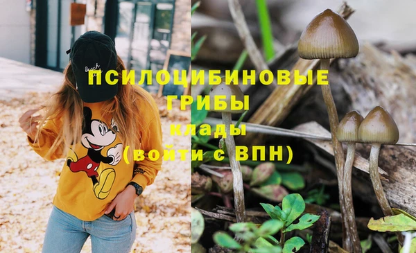 кокаин VHQ Алексеевка
