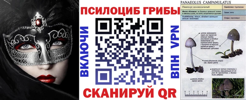 сайты даркнета какой сайт Когалым Галлюциногенные грибы мицелий купить закладку